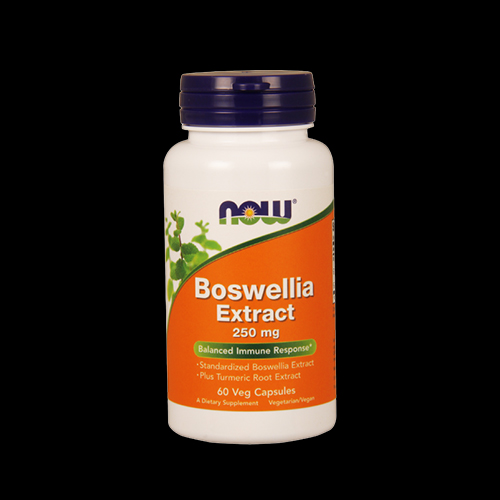 NOW Boswellia Extract 250mg