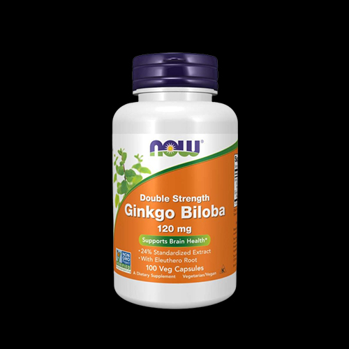 NOW Ginkgo Biloba 120 mg