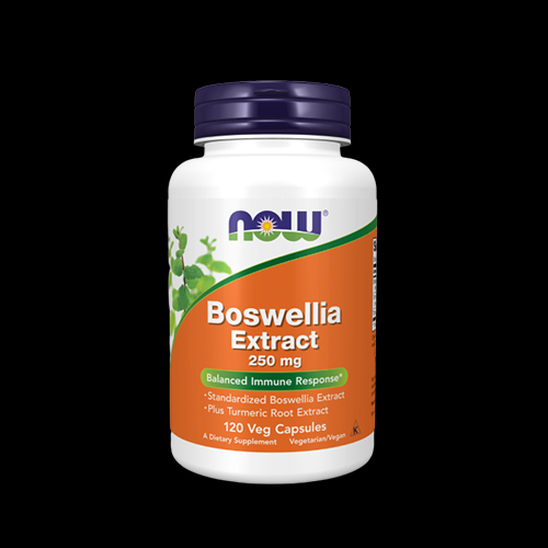 NOW Boswellia Extract