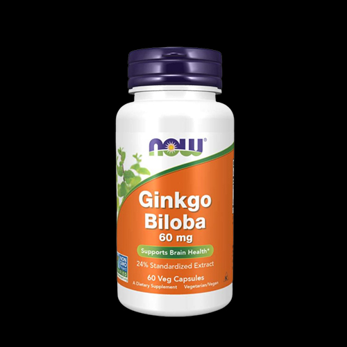 NOW Ginkgo Biloba 60mg