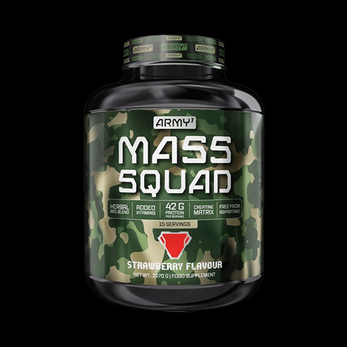 Army 1 Mass Squad