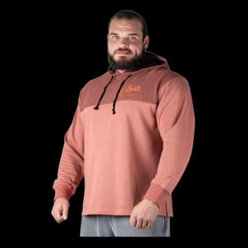 Legal Power Hoodie Landscape Boston 4222-864/405 - CEDORWOOD-fisa nutrițională