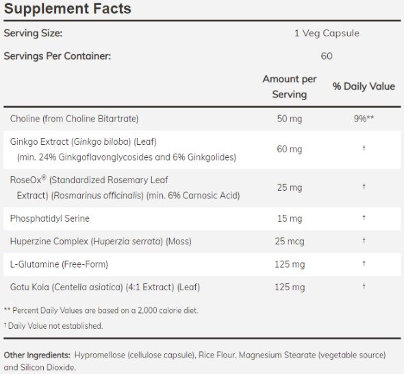 NOW Brain Elevate-factsheets