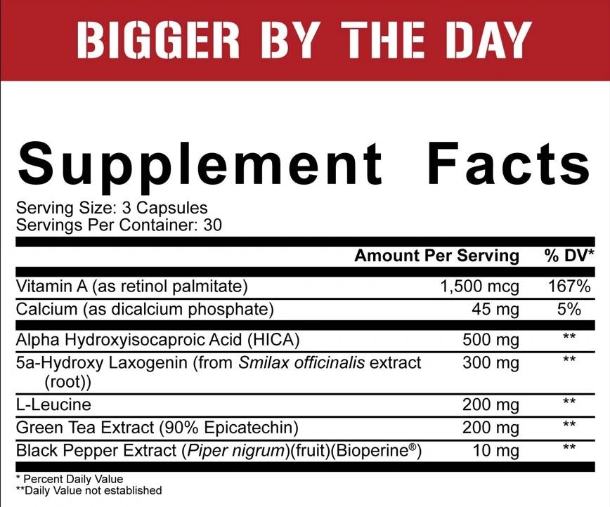 Bigger By The Day-factsheets