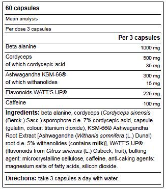 Yamamoto Nutrition Race PERFORMANCE-factsheets