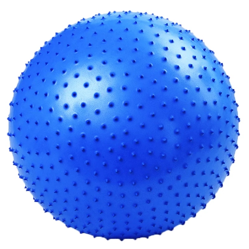 Armageddon Sports Massage Gym Ball 65 cm with Pump